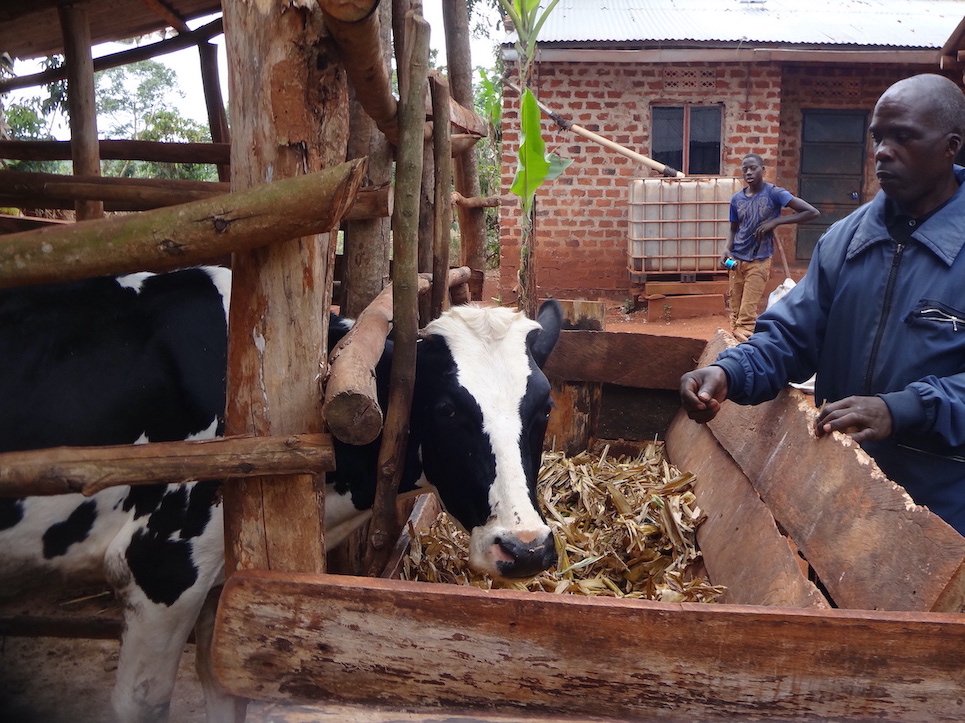UN Headquarters Advocacy